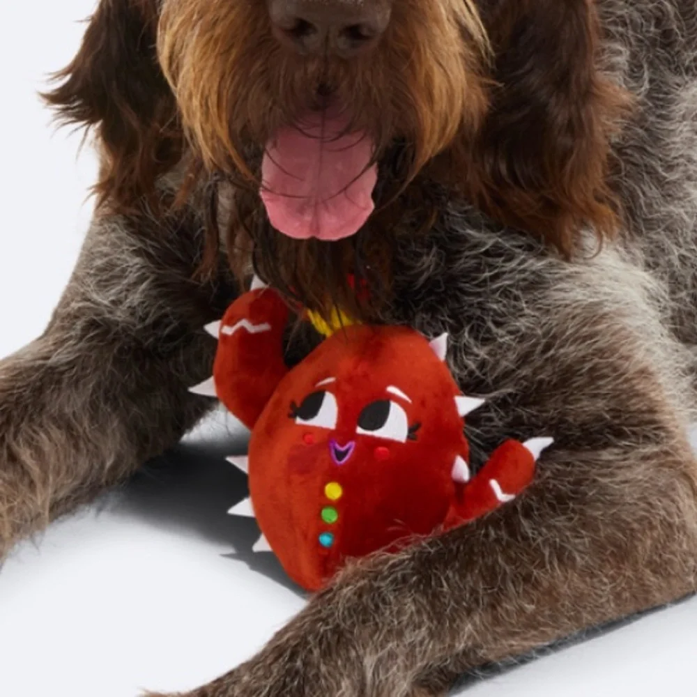 Bark box super chewer M-L Dog Toy Consuela the cookie cactus rip & reveal NEW
